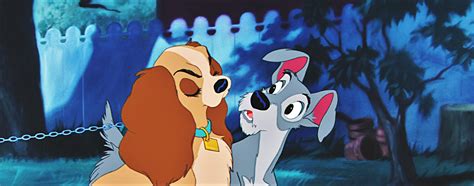 Lady And The Tramp Wallpapers Wallpaper Cave