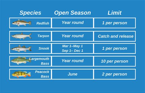 An Infographic Of Seasons And Regulations For Top Fish Species In The