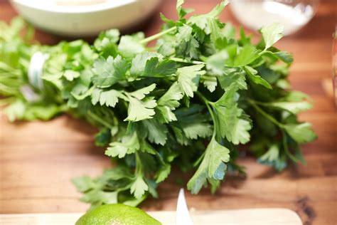 Parsley Varieties Chowtray