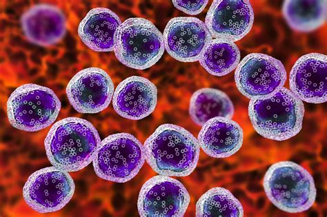 Understanding The Oncogenic Role Of Hiv In Burkitt Lymphoma