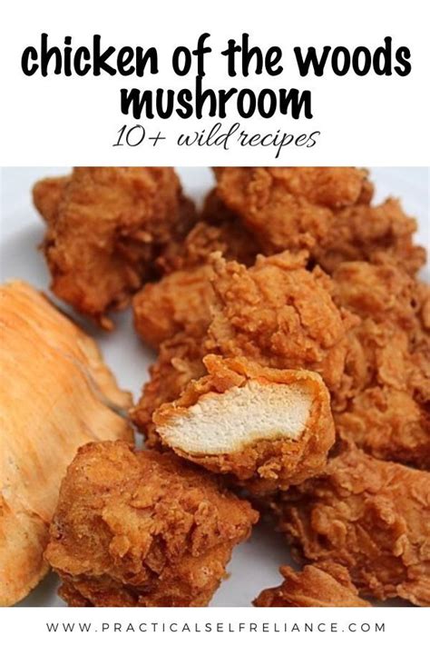 Chicken Of The Woods Mushroom Recipes Foraging Recipes Mushroom