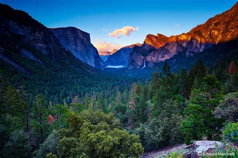 Yosemite Forest Valley At Sunset From Tunnel View