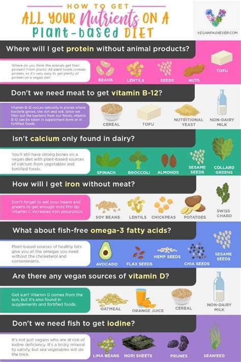 vegan nutrition 101 getting all your nutrients on a vegan diet guide to vegan vegan