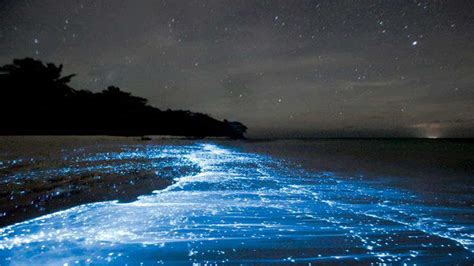 Mumbais Juhu Beach Water Light Up With Neon Lights Youtube