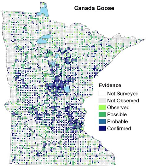 Range Canadian Geese Migration Map