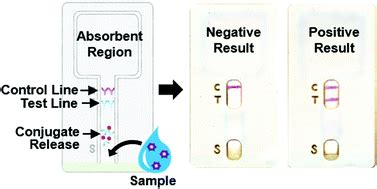 Lateral Flow Immunochromatographic Assay On A Single Piece Of Paper