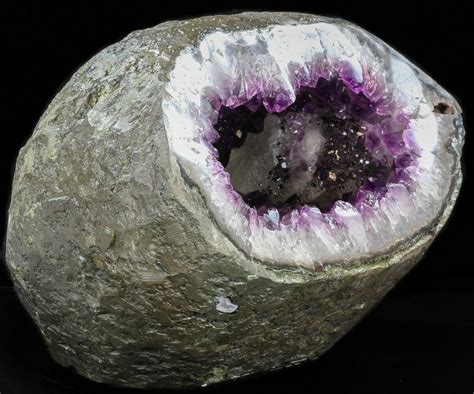 98 Dark Amethyst Geode From Uruguay 22 12 Lbs 41901 For Sale