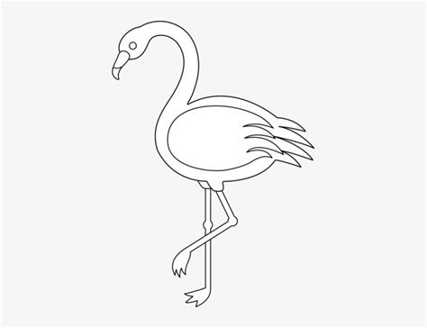 Flamingo Black And White Clip Art