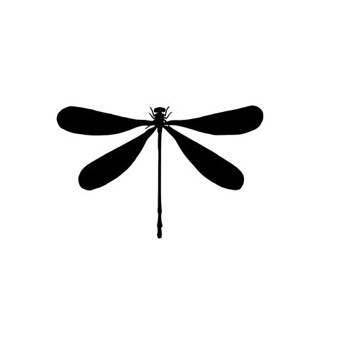 Svg Bug Dragonfly Insect Basic Free Svg Image Icon Svg Silh