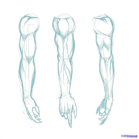 Impressive Tips How To Draw A Abs Easy 2019 In 2020 Arm Drawing