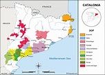 Catalonia Map of Vineyards Wine Regions