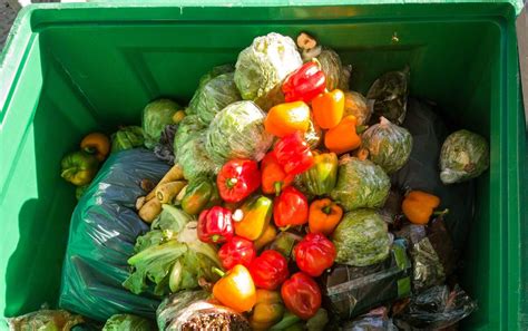 Big Plates Equal Big Waste: A Guide to Food Waste In America - Grit ...