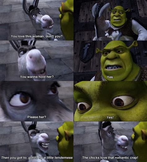 Shrek Meme Quotes