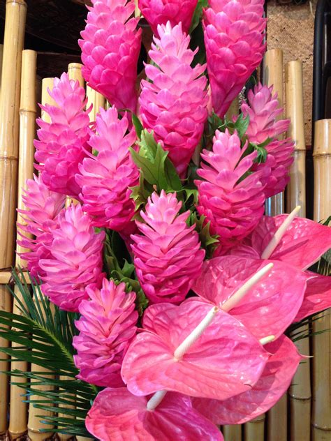 Maybe you would like to learn more about one of these? Pin on So HOT Pink!