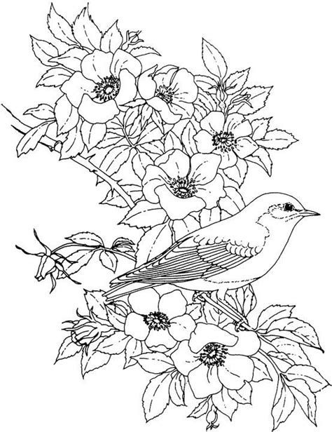 Free Printable Coloring Pages Of Birds And Flowers Positive Quotes