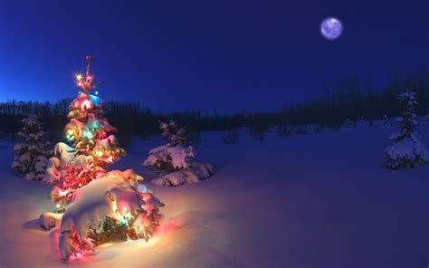 Free Download Christmas Tree Light In Snow Hd Wallpaper Stylish Hd