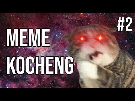 Menjelajahi hati seseorang tuh berat lho. Kocheng Oren Bar Bar SKIP ! MEME KUCING #2 - YouTube