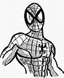 Spiderman Da Colorare