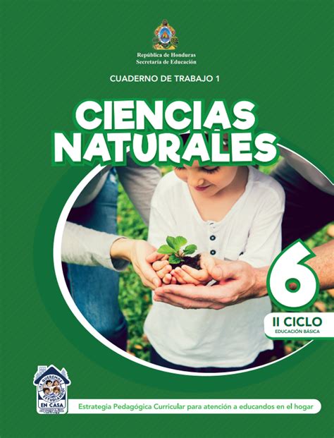 🥇 Cuaderno De Trabajo De Ciencias Naturales 6 Sexto Grado Honduras