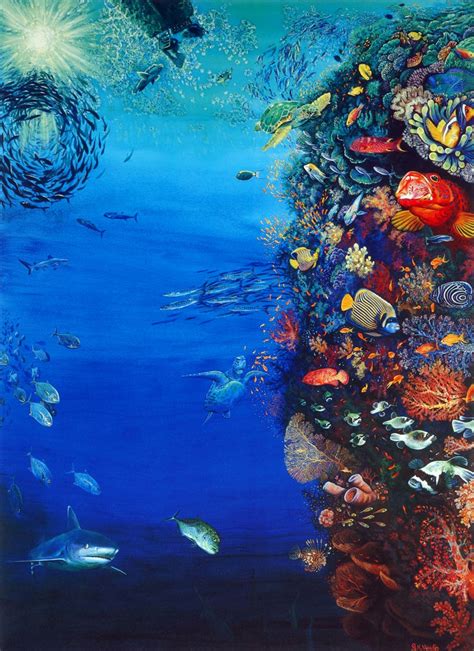 Collection by debra reed • last updated 12 weeks ago. 'The Wall' fine art print of a coral reef wall by Deep ...