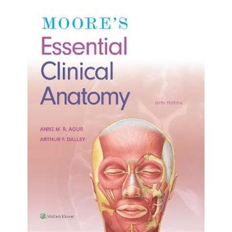 Lippincott Williams And Wilkins Moores Essential Clinical Anatomy