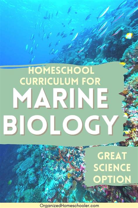 Secular Homeschool Marine Biology Curriculum In 2023 Biology