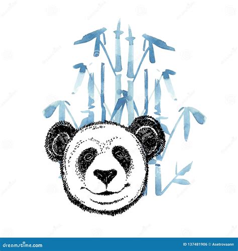 Hand Gezeichnetes Porträt Des Pandas Vektorillustration Lokalisiert Auf