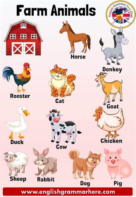 Farm Animals Names Definition And Examples Farm Animals Farm Animals