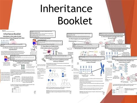 Inheritance Booklet And Activities Teaching Resources