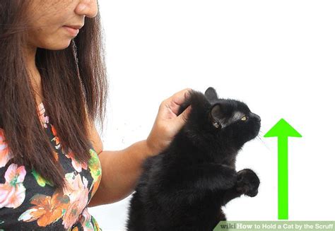 How To Hold A Cat By The Scruff 15 Steps With Pictures