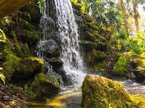 Floridas Rainbow Springs Offers Waterfall Chasing Tubing And More