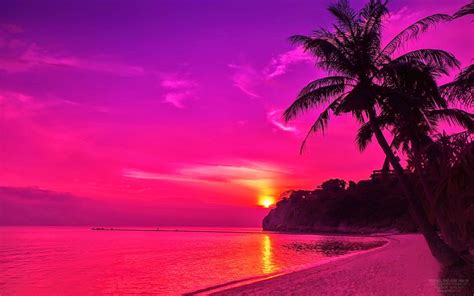 Pink Beach Sunset HD Wallpapers - Top Free Pink Beach Sunset HD ...