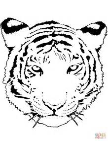 Tiger Head Coloring Page At Free Printable Colorings