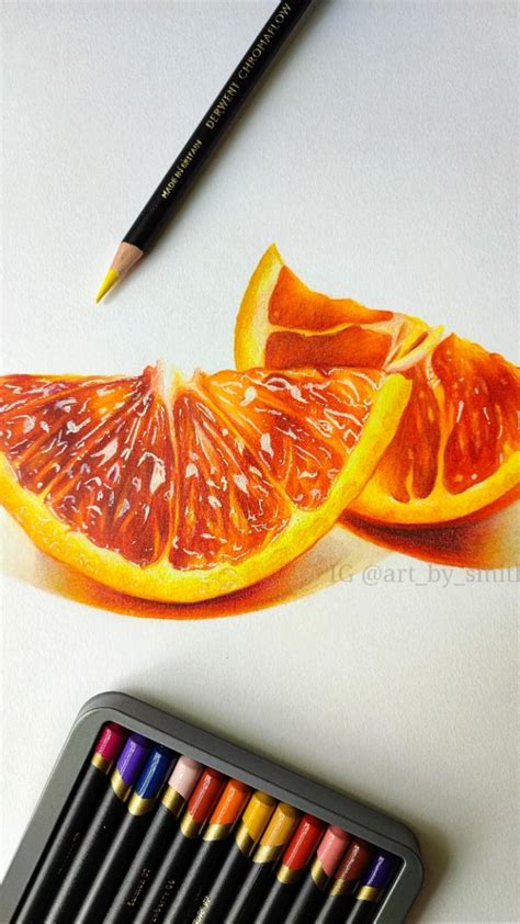 Realistic Fruit Drawings With Colored Pencils Colour Pencils