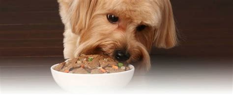 This makes introducing new food easier to little puppies. Personal Review of 2 Wet Dog Food Options for Puppies ...