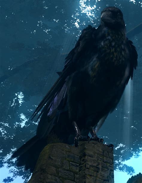 Giant Crow Dark Souls Wiki Fandom Powered By Wikia
