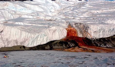 Ancient Microbe Living Under Antarctic Ice The Upward Spiral