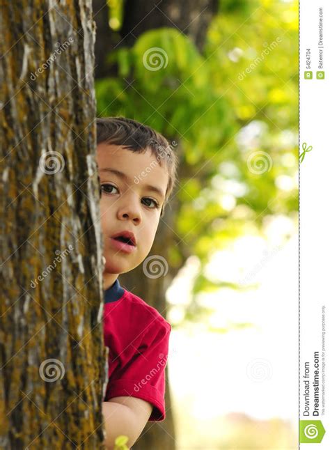 Boy Behind Tree Stock Images - Image: 5424704