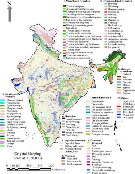 India Vegetation Map