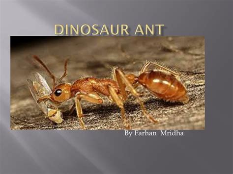 Ppt Dinosaur Ant Powerpoint Presentation Free Download Id5415901