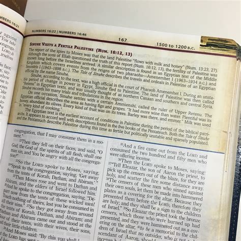 Nkjv The Chronological Study Bible Review — Rachel A Dawson