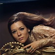 35 Beautiful Photos of Diana Rigg in the 1960s and ‘70s ~ Vintage Everyday