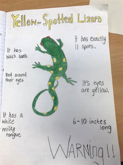 How To Draw A Yellow Spotted Lizard From Holes