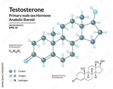 Testosterone Primary Male Sex Hormone Structural Chemical Molecular Formula And 3d Model