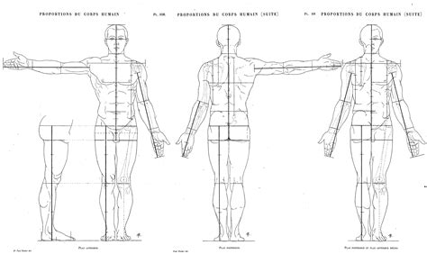 Pin By Mohammed Anuz On Human Anatomy Reference Anatomy For Artists