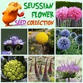 Lorax inspired whimsies in your backyard! 7 fantastical flower and ...