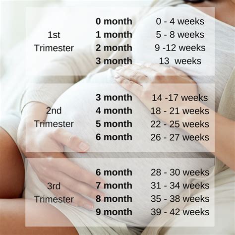 How To Calculate Pregnancy Weeks And Months Accuratel