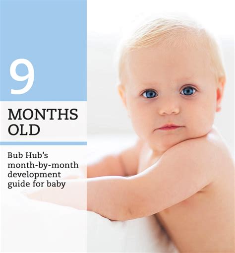 What Should My 9 Month Old Baby Be Doing 9 10 Month Milestones Bub Hub