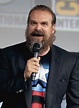 David Harbour - Celebrity biography, zodiac sign and famous quotes