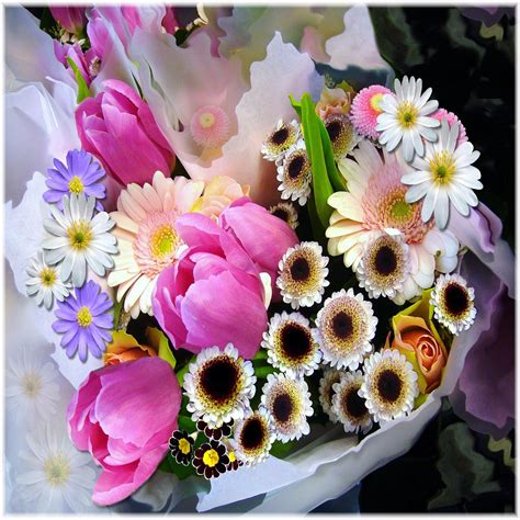 Frühling Blumenstrauß Tulpen Kostenloses Foto Auf Pixabay
